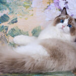 Миниатюра к