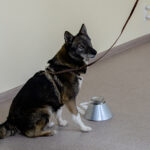 Миниатюра к 