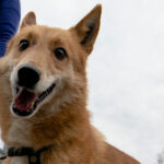 Миниатюра к 