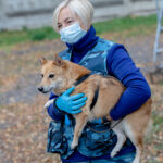 Миниатюра к 