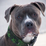 Миниатюра к 