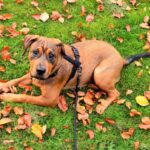 Миниатюра к 