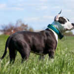 Миниатюра к 