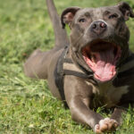 Миниатюра к 