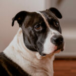 Миниатюра к 