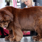 Миниатюра к 