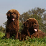 Миниатюра к 