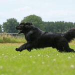 Миниатюра к 