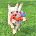 Миниатюра к 