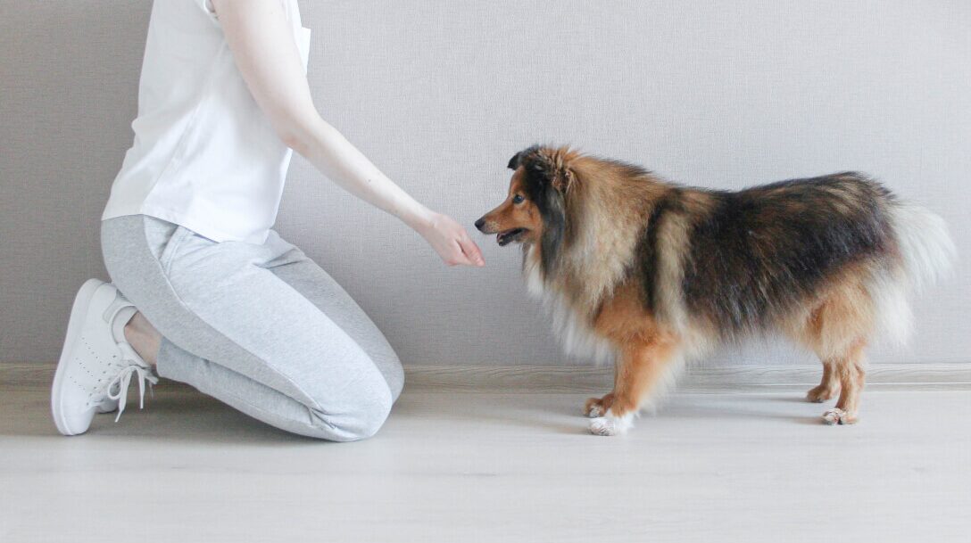 Постоянное обучение даст нужный результат