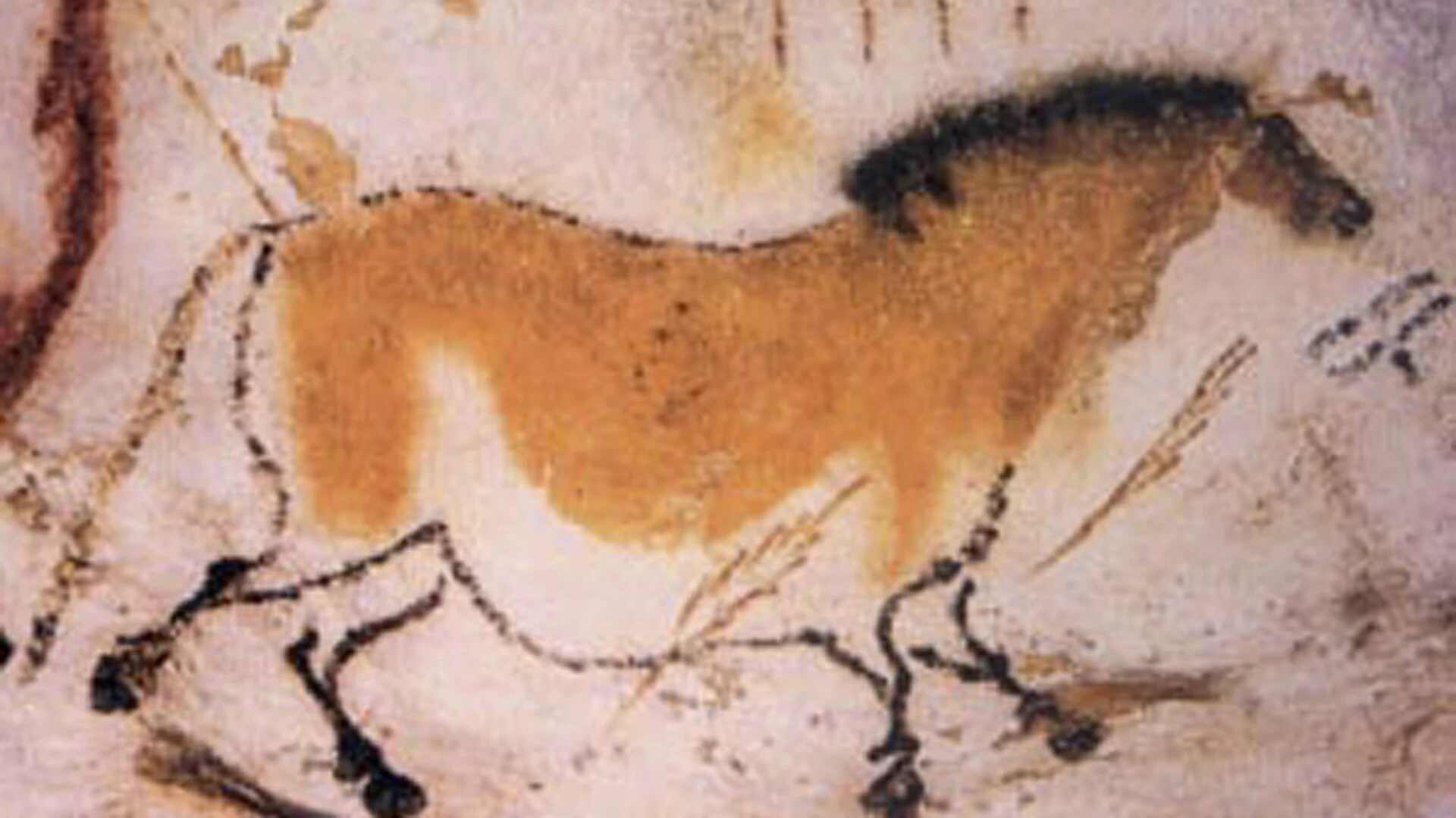 Лошадь Пржевальского