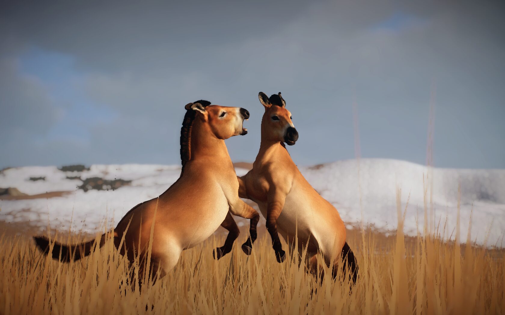 Лошадь Пржевальского