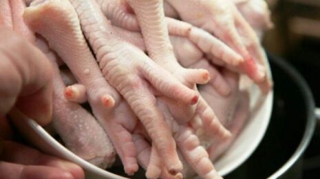 Можно ли собакам куриные лапки?