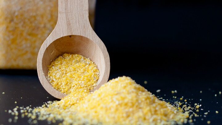 Пшено полезно для собак Пшено полезно для собак