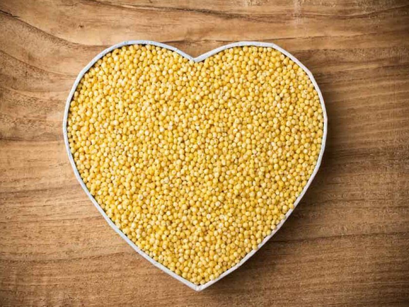 Можно ли собакам пшено? Можно ли собакам пшено?