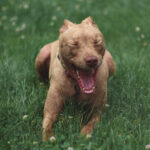 Миниатюра к