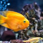 Миниатюра к