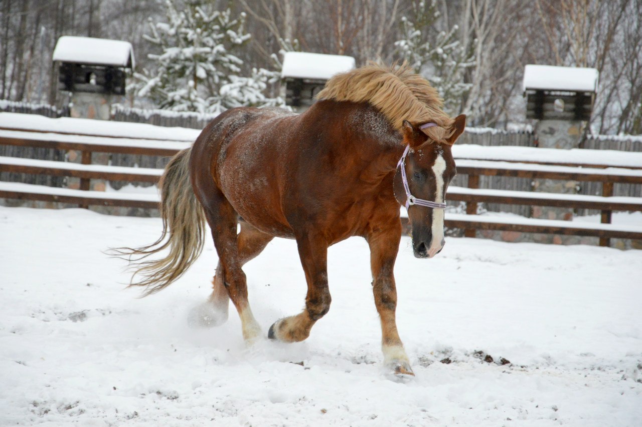 Советский тяжеловоз