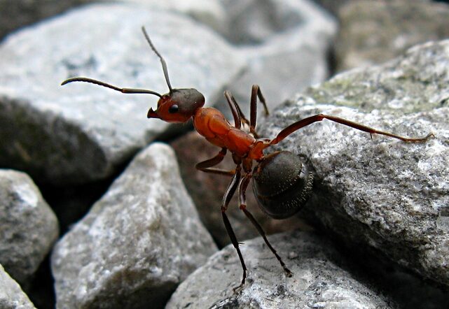 Загадочная «спираль смерти» Загадочная «спираль смерти»