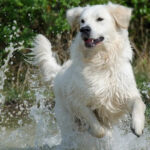 Миниатюра к 