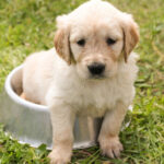 Миниатюра к 