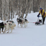 Миниатюра к 