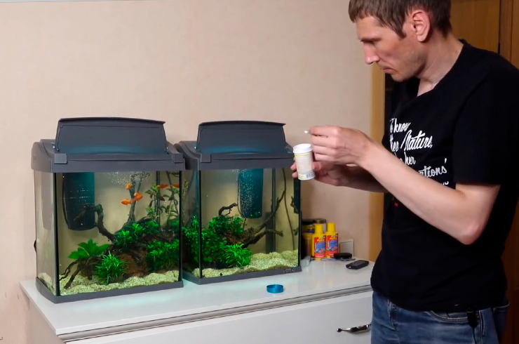 Как правильно ухаживать за аквариумом2