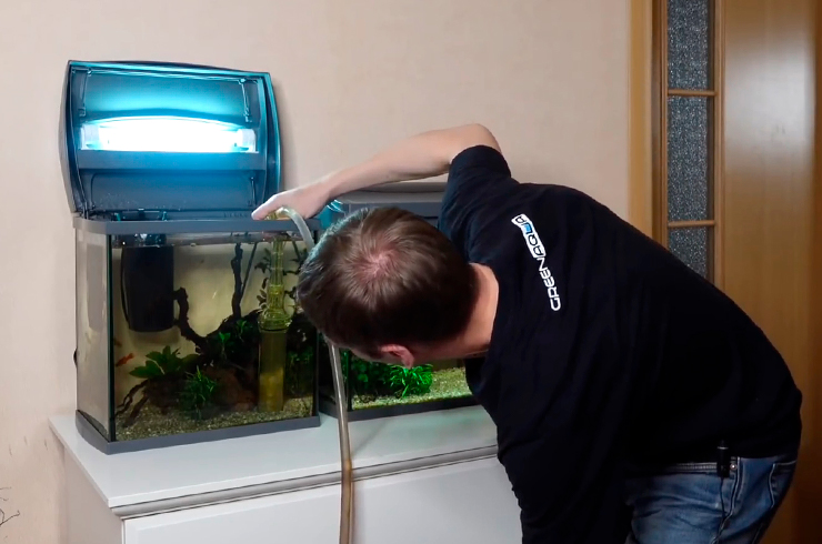 Как правильно ухаживать за аквариумом3