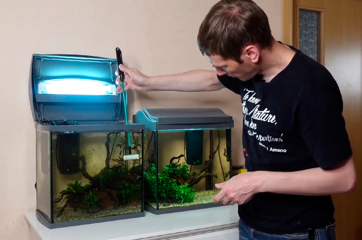 Как правильно ухаживать за аквариумом4