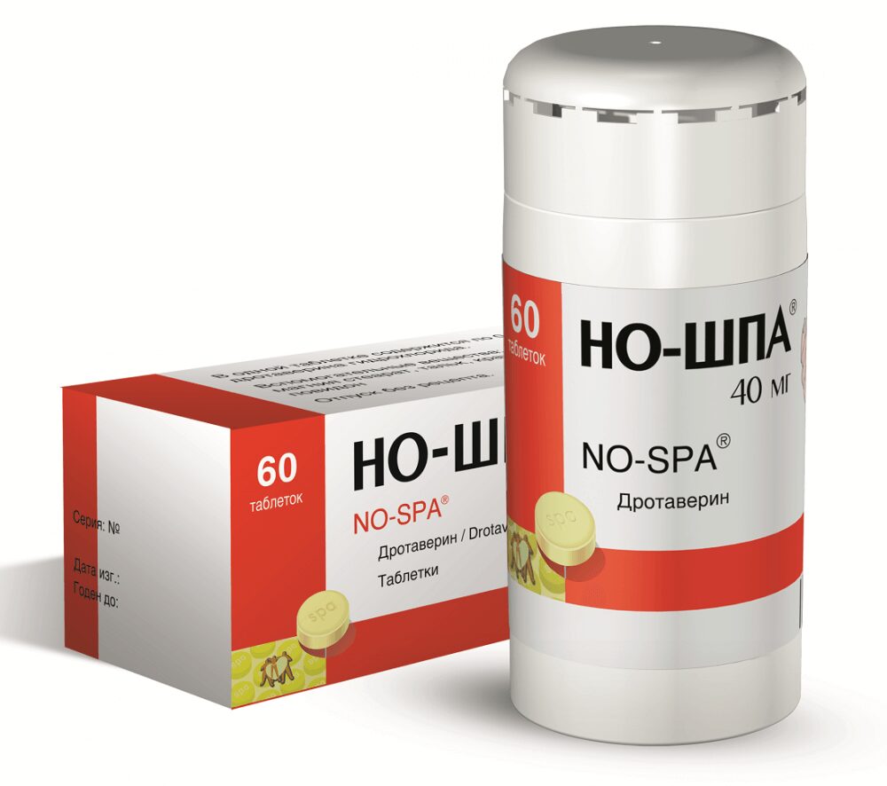 Можно ли собакам давать ношпу