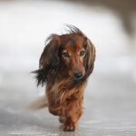 Миниатюра к 