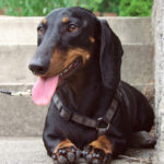 Миниатюра к 