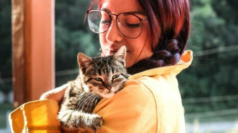 Почему кошка не мурлычет?