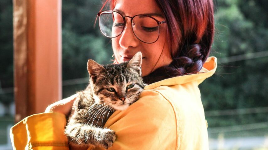 Почему кошка не мурлычет?