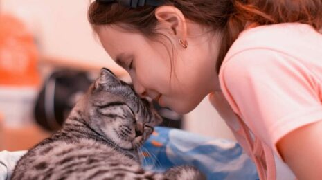 Почему кошки спят с хозяевами?